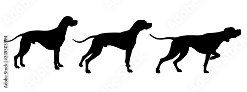 Set of English pointer silhouettes
