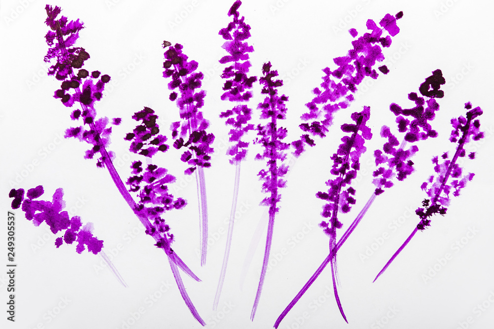 Top view of purple watercolor flowers on white background