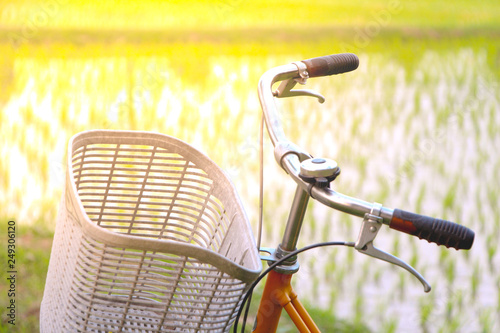 Vintage Bicycle in Summer paddy field. 