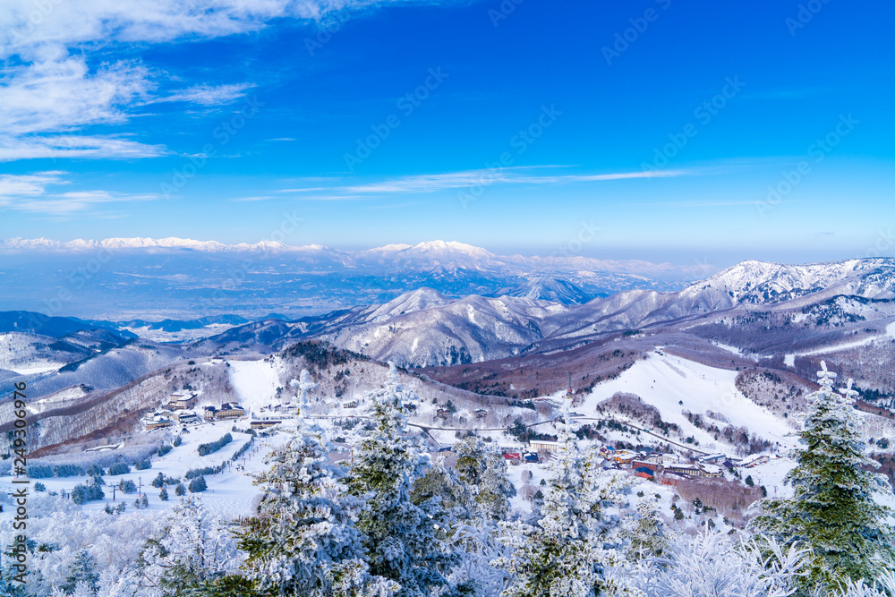 Fototapeta premium 風景物語（志賀高原の冬）