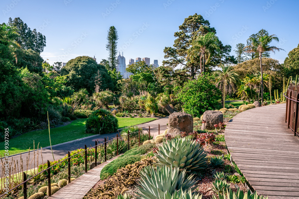 Fototapeta premium Royal Botanical gardens scenic view in Melbourne VicAustralia