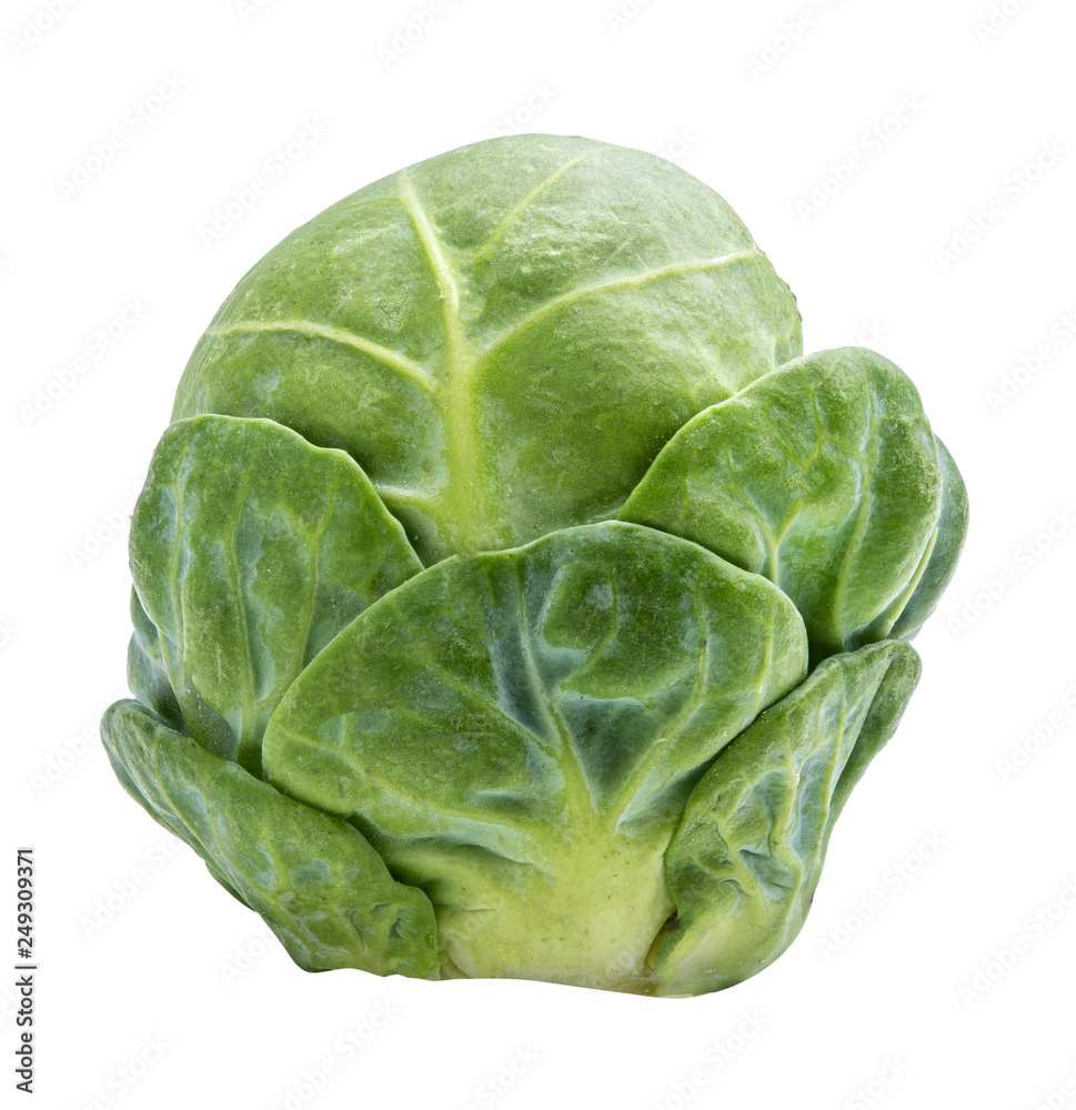 Fototapeta premium Brussels sprouts isolated on white background