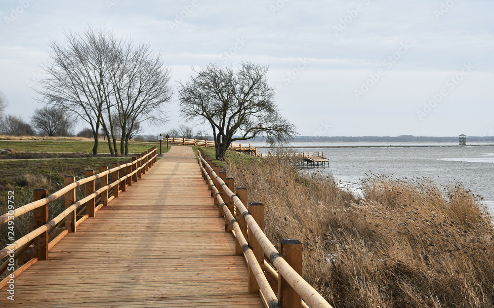 Obraz premium Wooden path over a lake.