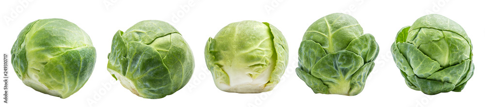 Obraz na płótnie Group of fresh brussels cabbage w salonie