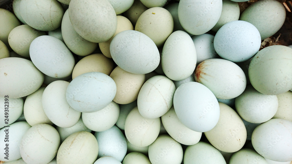 A close-up of the eggs