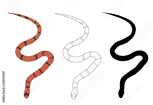 snake set, on white background, flat style
