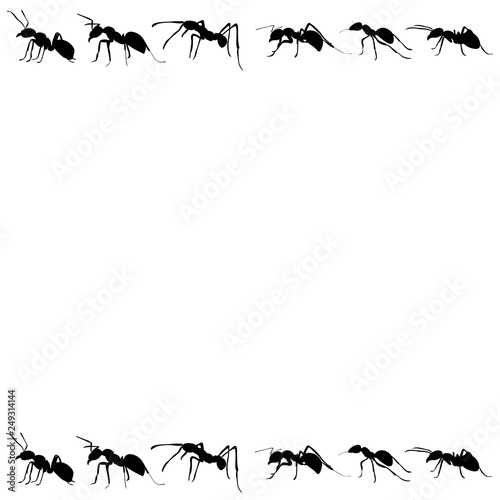 ant colony silhouette