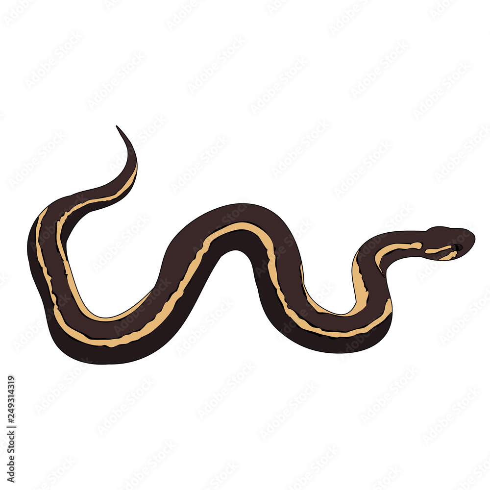 Fototapeta premium snake, on a white background, flat style snakes