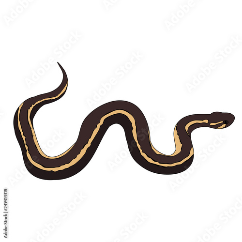  snake, on a white background, flat style snakes