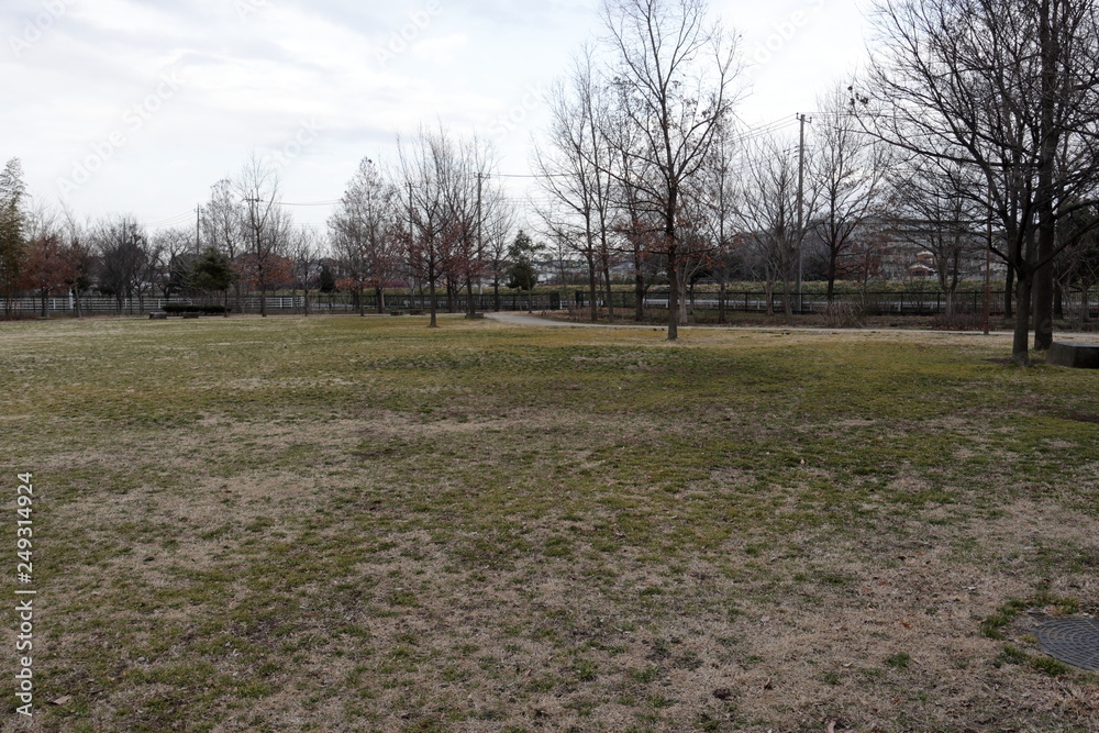 冬の公園 冬の公園