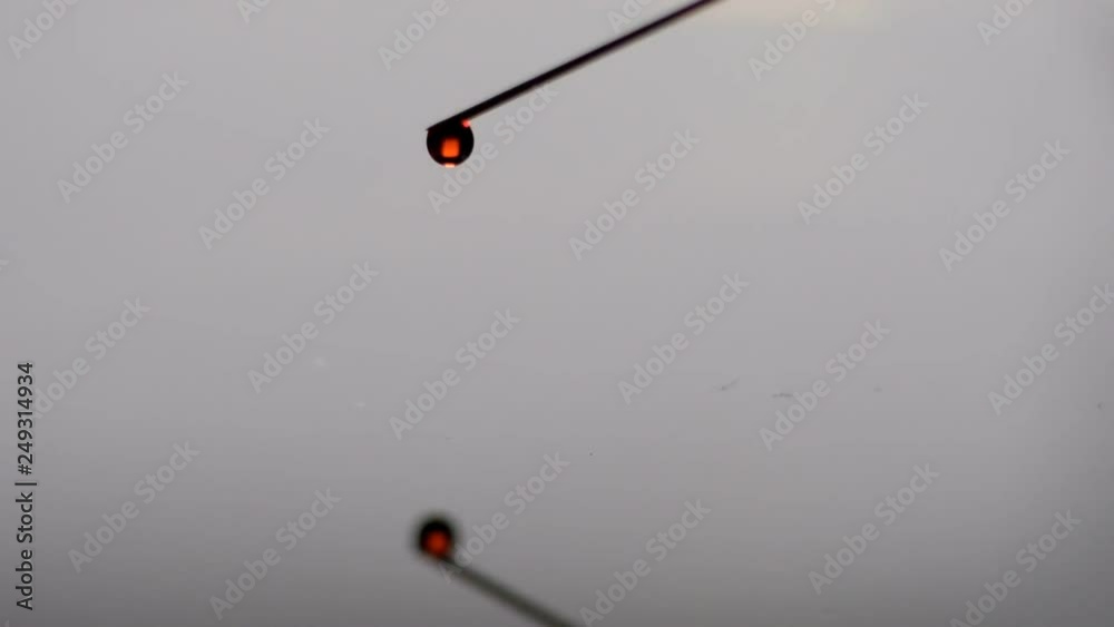 A drop of blood is dripping from the needle. A drop of blood is dripping from the needle.