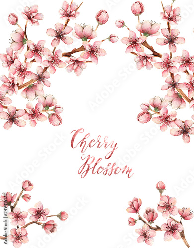 Cherry blossom spring flowers  watercolor illustration card for you handmade buds branches  flowers