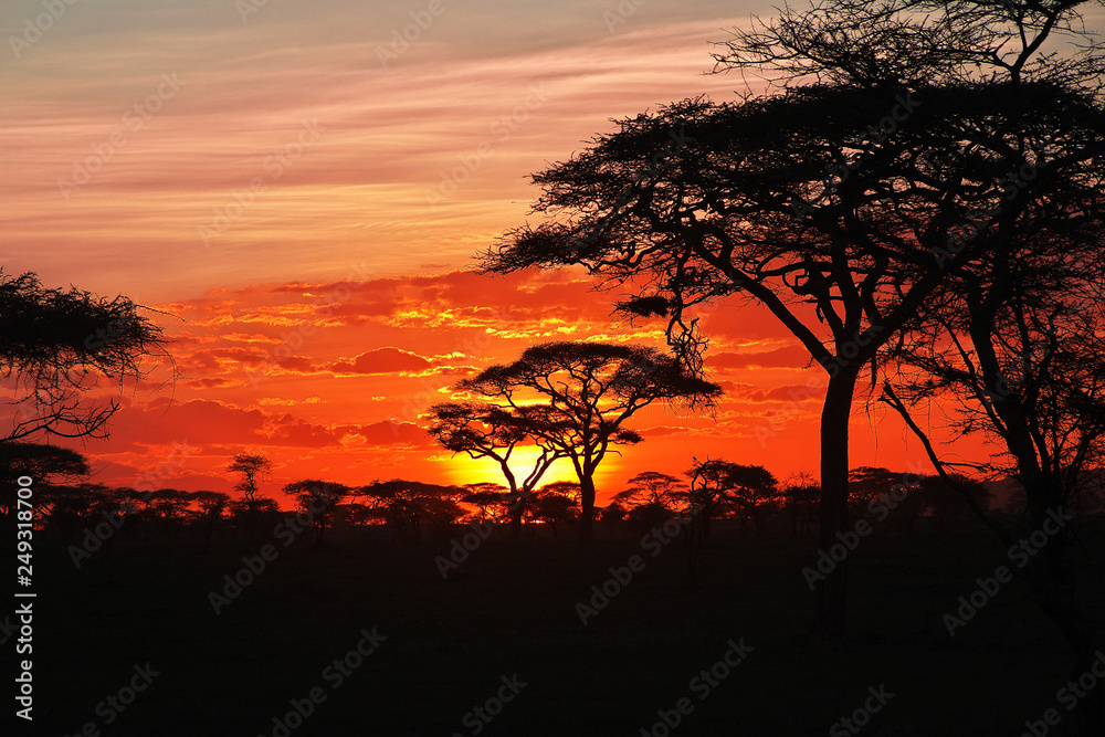Sunset tanzania safari ngorongoro serengety