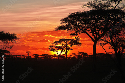 Sunset tanzania safari ngorongoro serengety