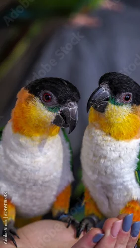 Obraz OLYMPUS DIGITAL CAMERA