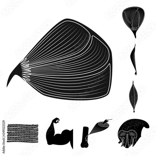 Vector design of human and body  sign. Set of human and cells stock symbol for web.