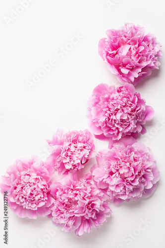 Wallpaper Mural beautiful pink peony flower background Torontodigital.ca