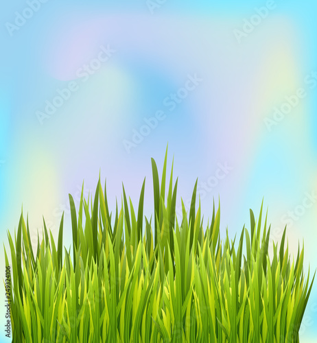 Fresh green grass border with blue sky background. Border decoration element. .