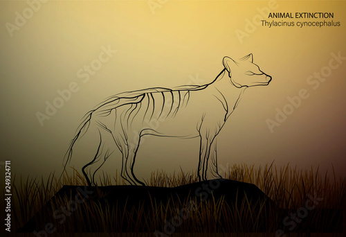 marsupial wolf looks like tree branches, spirit of extinct animal, extinct animal of Australia,