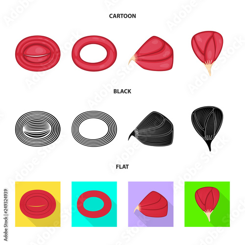 Vector design of fiber and muscular sign. Collection of fiber and body  vector icon for stock.