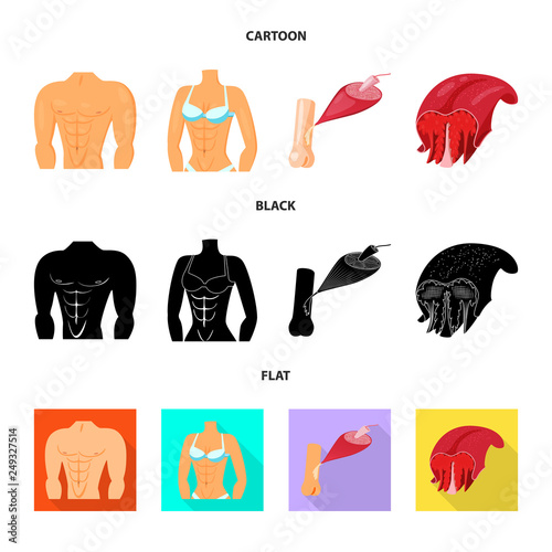 Vector illustration of fiber and muscular logo. Collection of fiber and body  stock symbol for web.