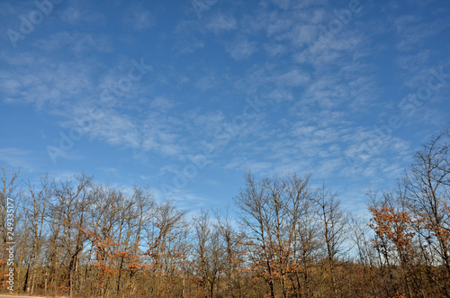 Wallpaper Mural Late winter sky Torontodigital.ca