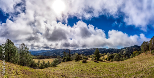 Panorama of Mountain Field of Grass