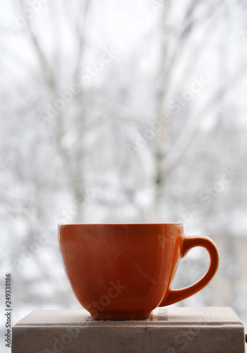 cup of tea on winter background