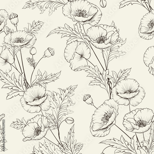 Pattern of poppy flowers on a gray background. Vector illustration.