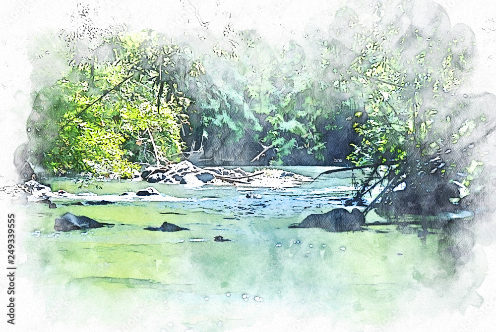 Fototapeta Abstract colorful river lake and tree in the forest on watercolor illustration painting background.
