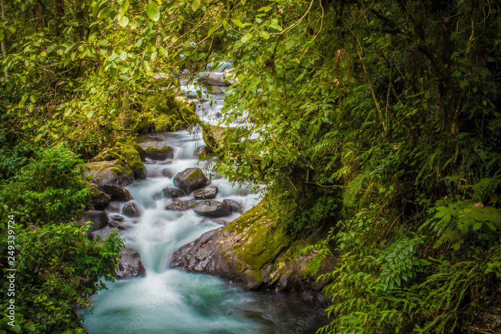 Magic Waterfall in the forest 