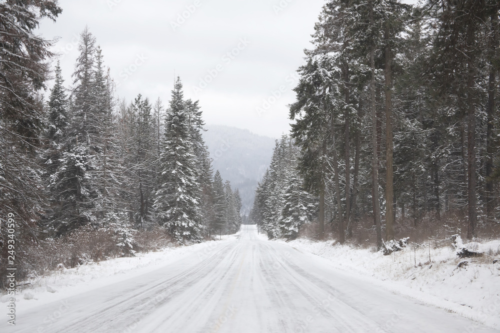 Photograph of a snow covered roadway through the forest on a winter day with snow covered trees Photograph of a snow covered roadway through the forest on a winter day with snow covered trees