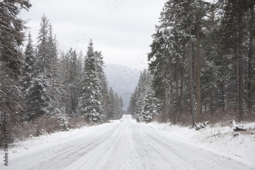 Photograph of a snow covered roadway through the forest on a winter day with snow covered trees