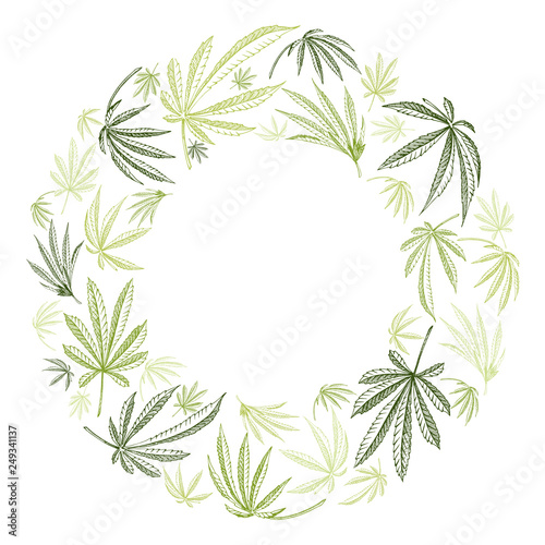 Vector wreath of hemp plant cannabis leaves on a white background