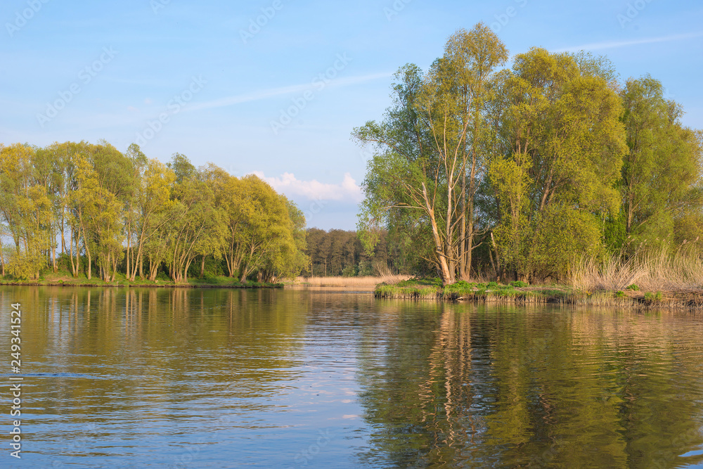 Obraz premium lake in forest