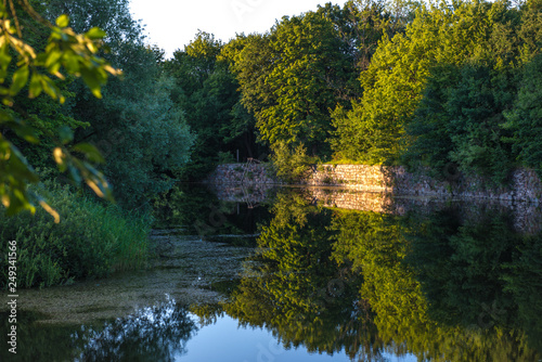 reflection of trees in water