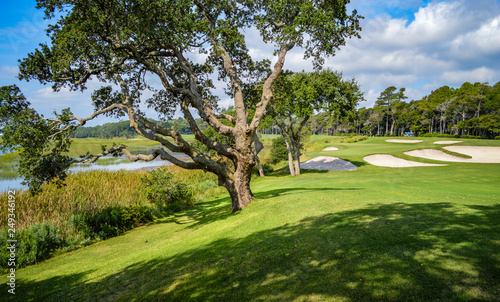 South Carolina Golf Course
