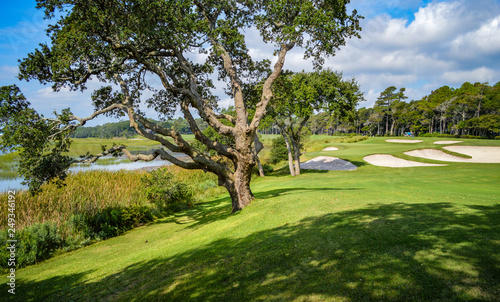Fototapeta Naklejka Na Ścianę i Meble -  South Carolina Golf Course
