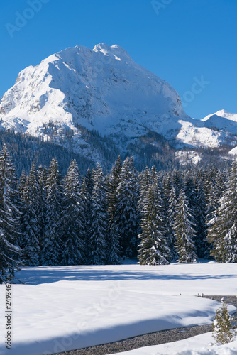 Snow-covered fir trees on a mountainside near Black Lake in Durmitor National Park