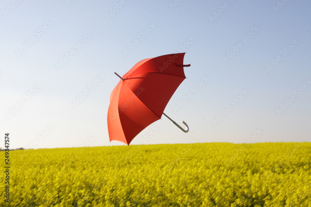Roter Schirm