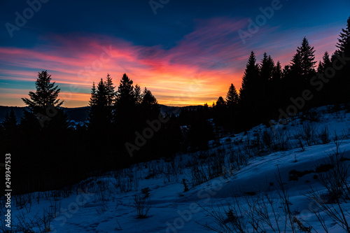 Dawn in winter in the mountains at night among the silhouette of tall trees © Sander Studio