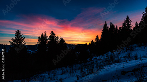 Dawn in winter in the mountains at night among the silhouette of tall trees © Sander Studio