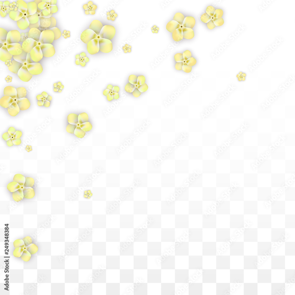 Vector Realistic Yellow Flowers Falling on Transparent Background.  Spring Romantic Flowers Illustration. Flying Petals. Sakura Spa Design. Blossom Confetti. Design Elements for Wedding Decoration.