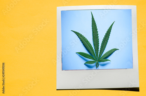Instant photo on colored yellow background.