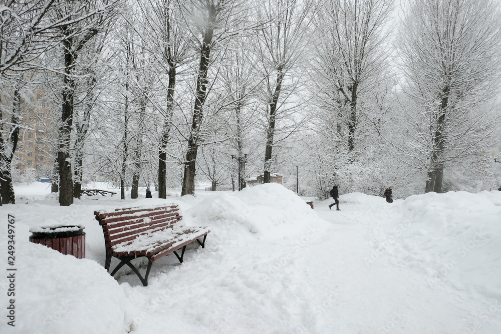 a bench in a park in the city covered by snow in winter. Trees, paths, lake, buildings, everything iced