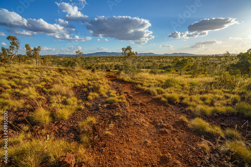 bushland at joffre gorge in karijini national park, western australia 1