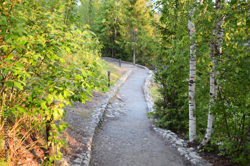 magic forest path