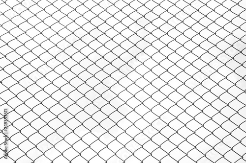 Slika na platnu the cage metal net on white background