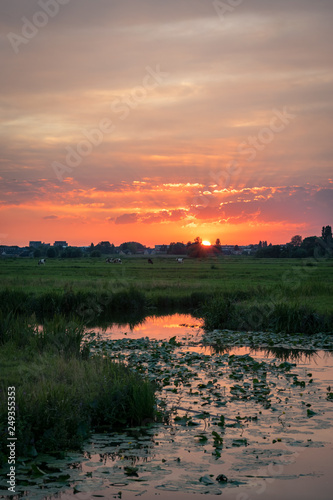 Scenic view of the dutch polder landscape at sunset, close to Gouda, Netherlands. The sun sets on the horizon of the dutch countryside. Beautiful colors in the sky and water.