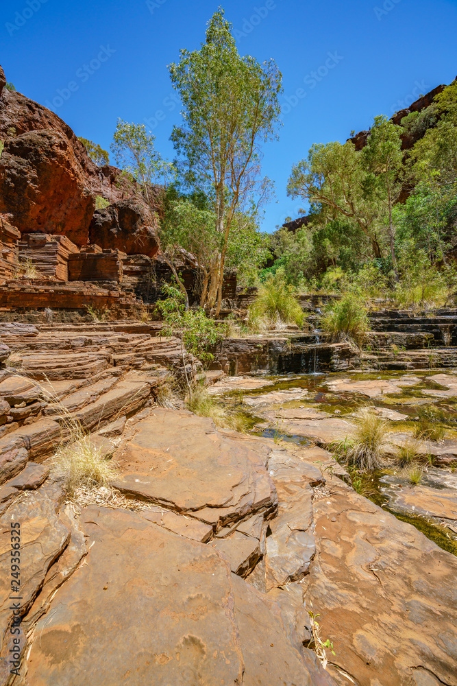 Fototapeta premium hiking in dales gorge, karijini national park, western australia 34